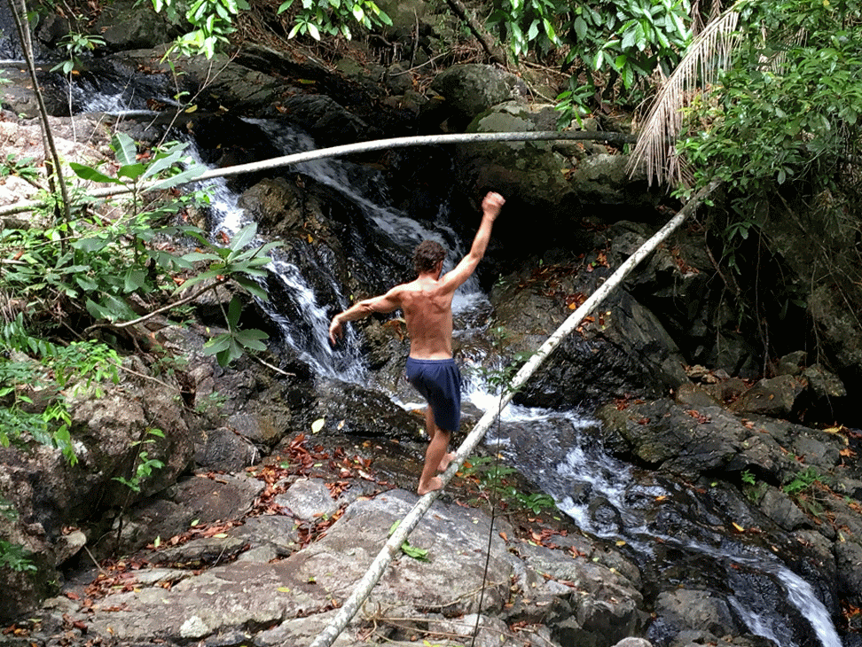 Balancing on a line in the jungle