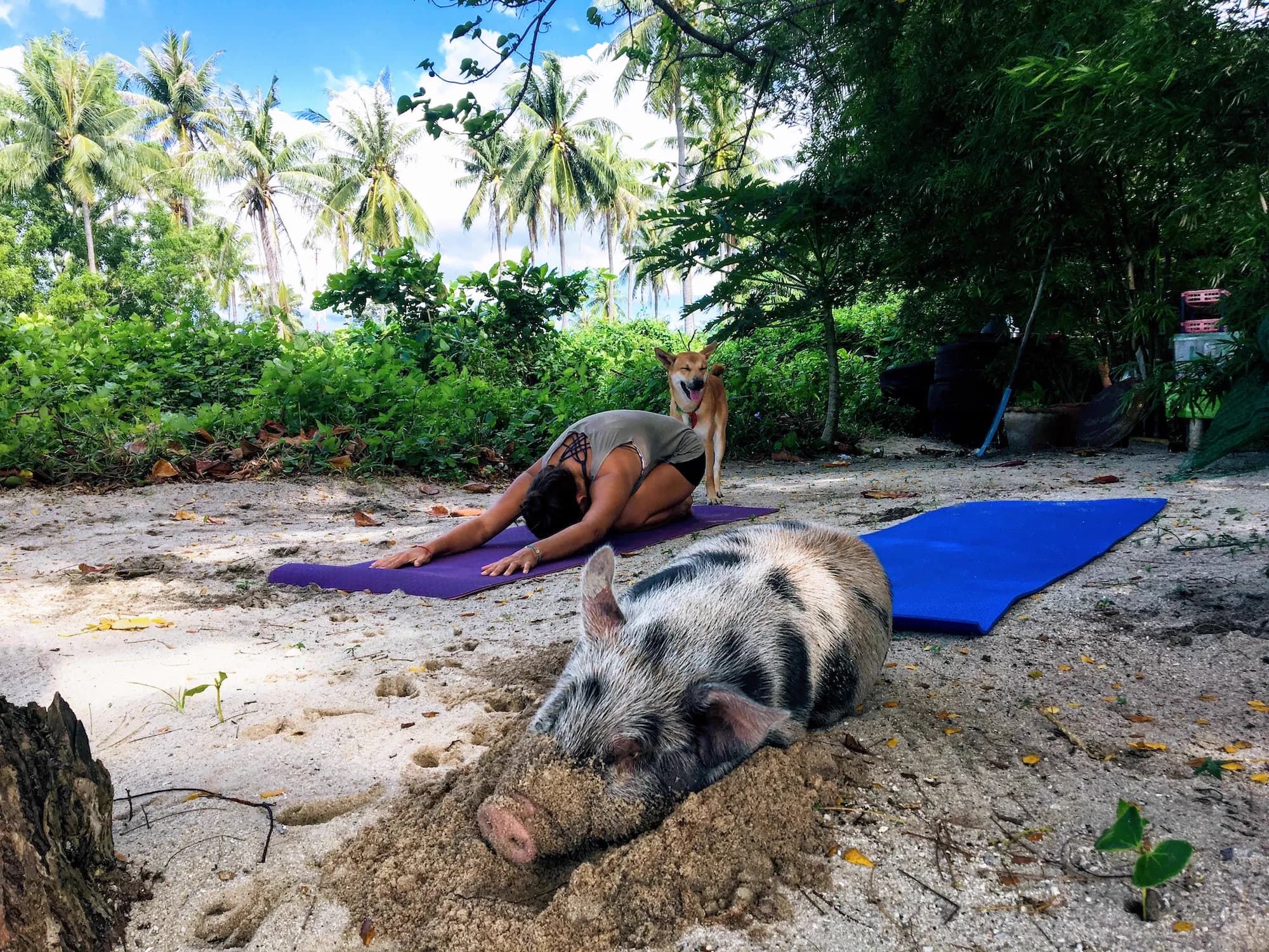 First private Yoga classes